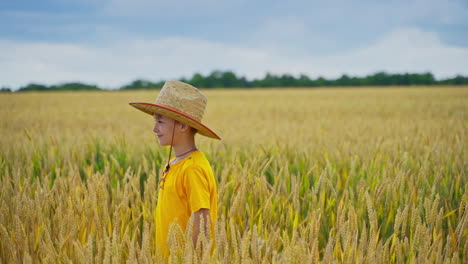 boys on yellow field. little boy in yellow t-shirt gives straw hat to his elder brother among agricultural plants in the countryside. little farmers outdoors.