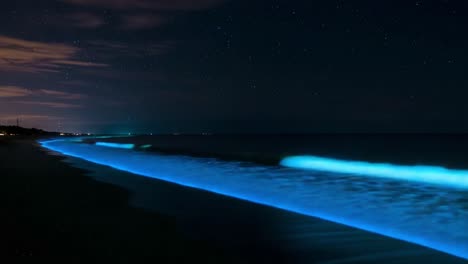 a stunning display of bioluminescence illuminating the nightly shoreline, with waves glimmering in mesmerizing blue and green hues under a starry sky