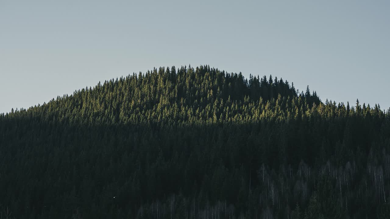녹색 나무로 덮인 산봉우리를 강타하는 첫 번째 태양 광선을 보여주는 4k 타임랩스