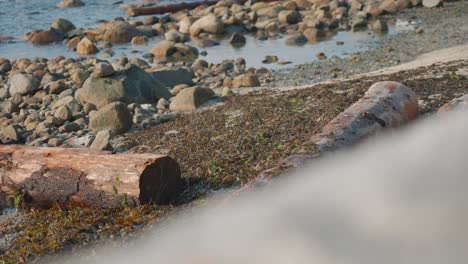 Close-up-of-Third-Beach,-Stanley-Park,-Vancouver,-Canada