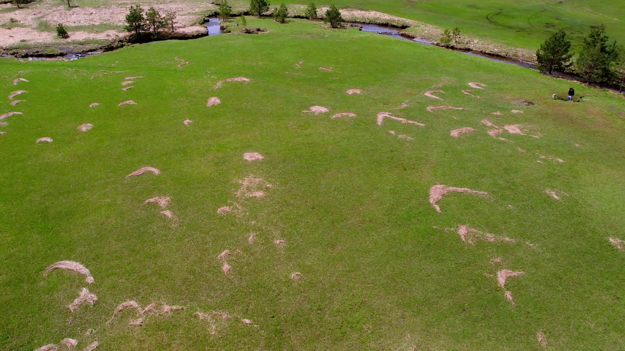 슬라티보르 산, 세르비아