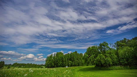 Statische-Aufnahme-Der-Bewegung-Weißer-Wolken-Im-Zeitraffer-Entlang-Grüner-Wiesen-Am-Rande-Eines-Waldes