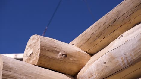 log cabin construction