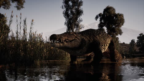 crocodile lurking in calm water near lush vegetation during sunset