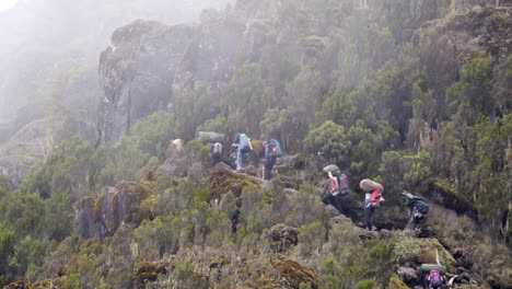 a chain of porters with equipment walking along a narrow path while climbing kilimanjaro.