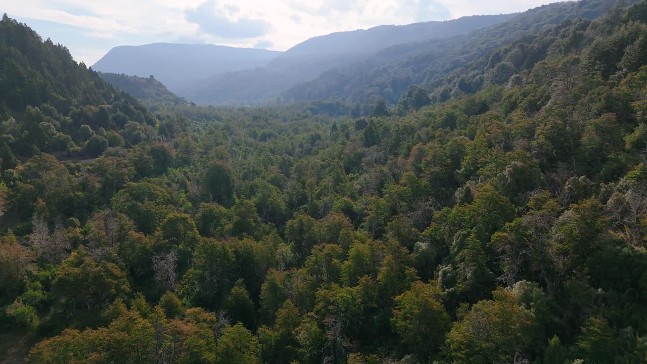 Lush green forest valley surrounded by hills on a cloudy late summer day
