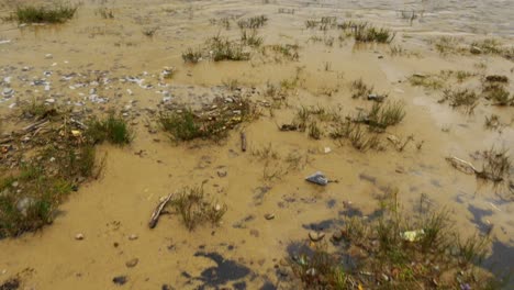 Una-Playa-De-Arena-Llena-De-Rocas-Y-Arbustos