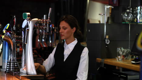 portrait of a smiling barkeeper working