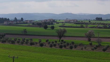 Αerial-shot-of-green-fields-sown-in-spring-on-a-sunny-day