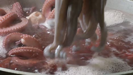 octopus. seafood in the restaurant. octopus is prepared in the restaurant  boiling into steel pot kitchen