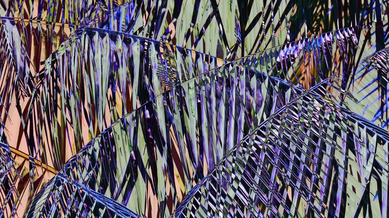 가장 흥미로운 배경을 위해 다양한 색상과 동작을 가진 야자나무 가지의 만화경 착시 메쉬 - 복사 공간