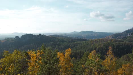 Colorful-trees-above-mountain-forest-in-autumn-sun,-Germany