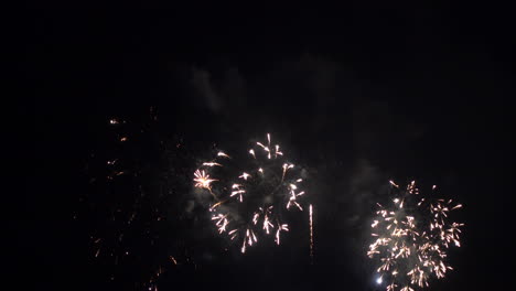 firework display at night on sky background