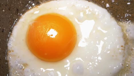 fried egg in a pan