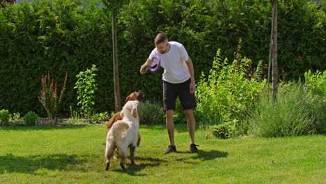 man playing with dogs in garden