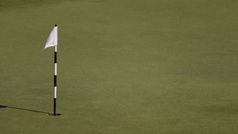 a golf flag waving back and forth