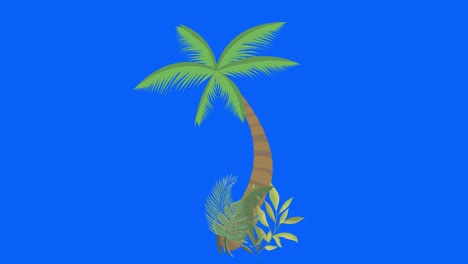 árbol de palma moviéndose por el viento, clave de croma, animación de bucle sin costuras