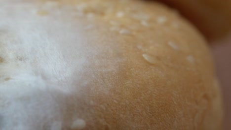 pan con moho