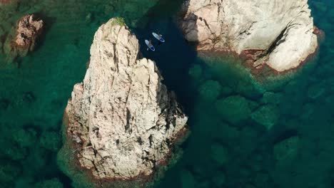 Mujeres-En-Forma-Flotando-En-Una-Tabla-De-Remo-En-El-Mar