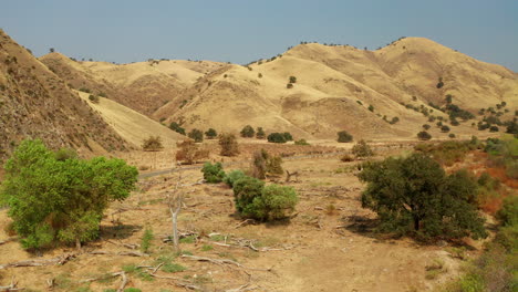 Flying-over-the-dry-grassland-hills-near-Caliente,-California-in-summer