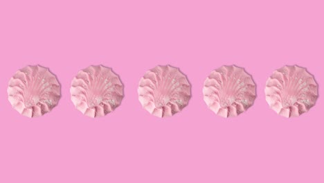animación de bucle sin costuras de muchos malvaviscos rosados en un fondo rosado, espacio de copia, movimiento gracioso