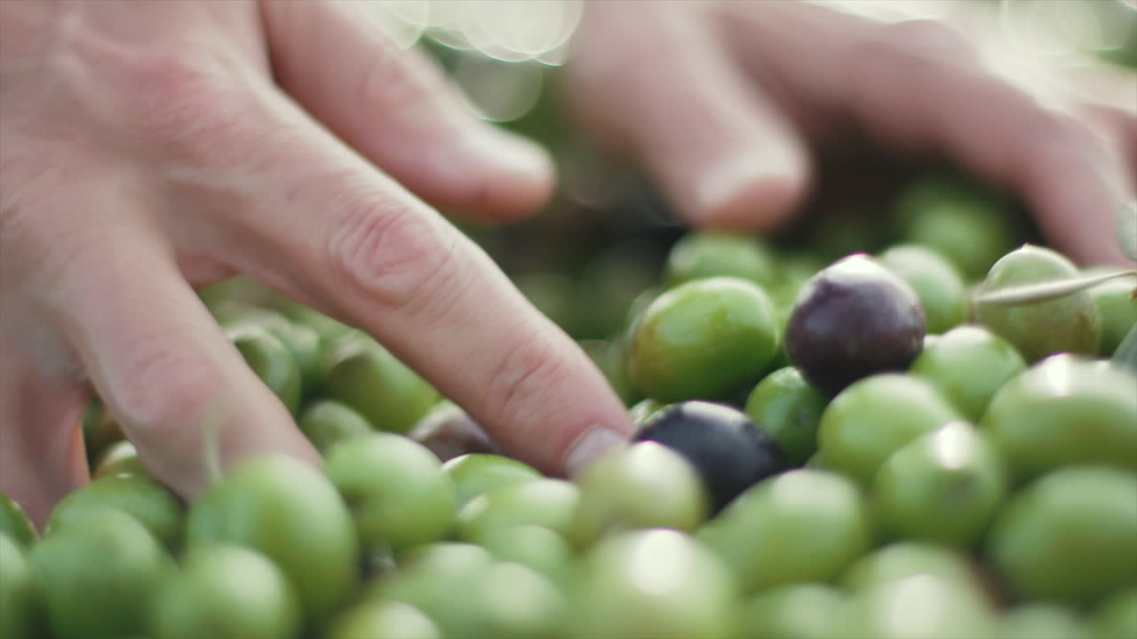 Close up of a handful of olives