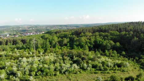 meadow in pomeranian district in poland