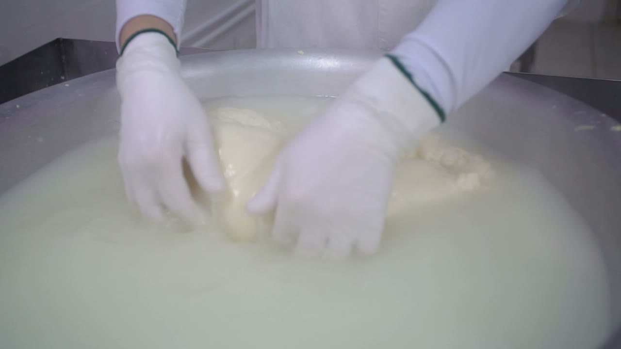 Proceso de elaboración del queso