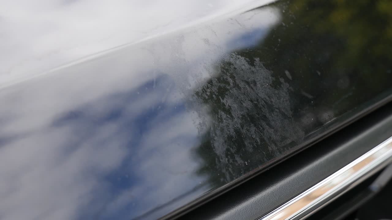 Close up of damage left from bird poo