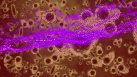 animation of purple light trails and macro brown covid 19 cells