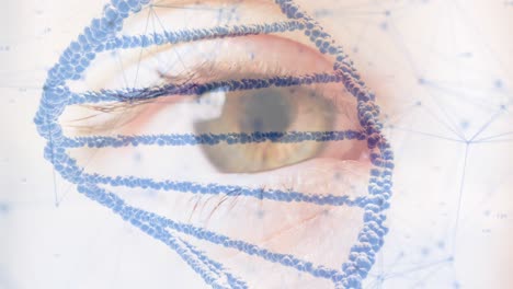 animación de la cadena de adn y la red de conexiones sobre el ojo