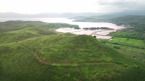 Toma-épica-De-Agricultura-Con-Campos-De-Plantación-De-Maíz-En-Crecimiento-Con-Fondo-Oceánico-En-La-Isla-De-Sumbawa,-Indonesia