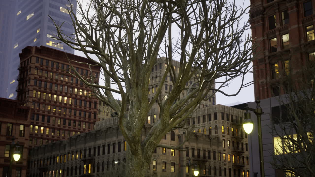 Urban twilight reveals bare branches amidst modern architecture in the city