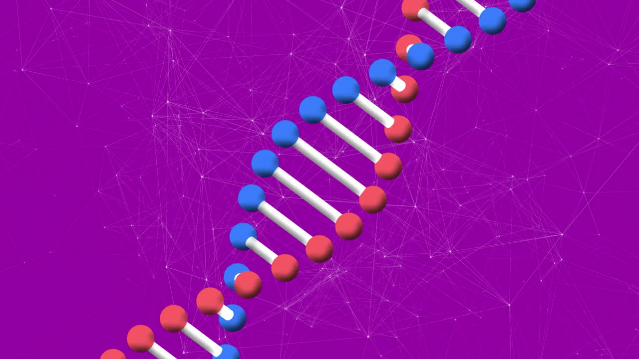 animación de adn rojo y azul girando con puntos de conexión, sobre fondo púrpura