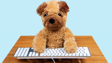 stuffed dog toy working on a computer keyboard