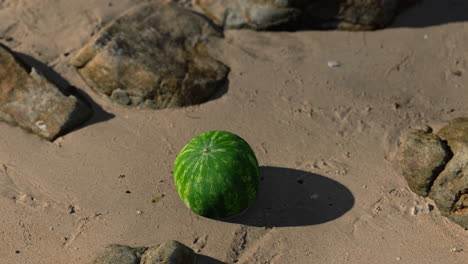 big and juicy watermelon on the beach sand