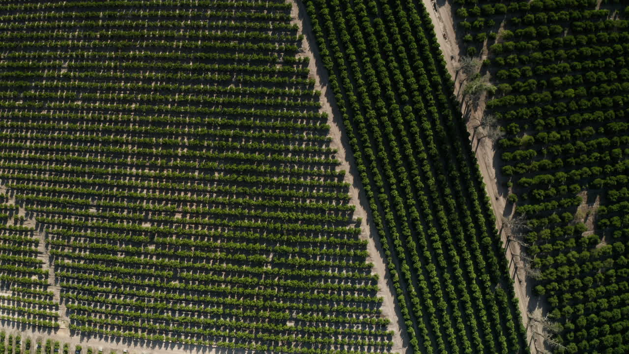 antena: reserva natural de oude kraal