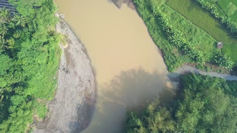 big river with brown water surrounded by dense of trees