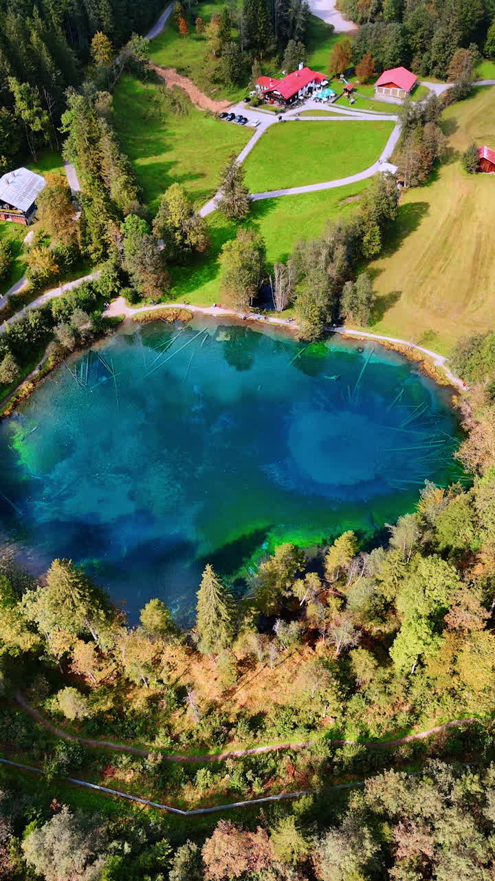 Flying closer to the beautiful Christlessee lake, surrounded by pine tree wood and picturesque valley with some houses. Scenery of Oberstdorf, Bavarian Alps, Europe. Vertical video.