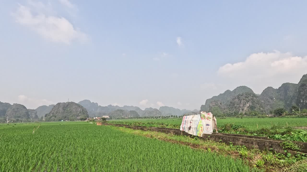 울창 한   의 조용 한 풍경