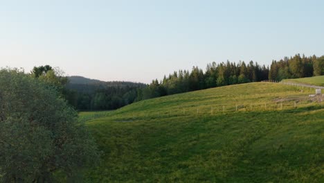 sloping hills and lush forest mountains near countryside