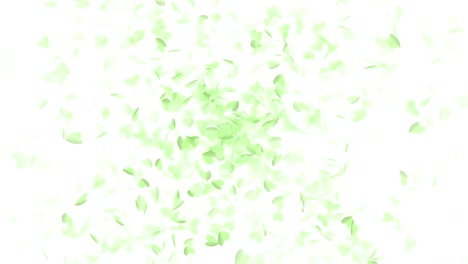 la explosión del bucle del corazón de papel verde.