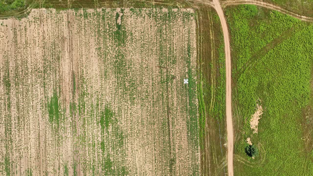 Small Quadcopter Drone Inspecting Crop Health - Aerial Top Down Track