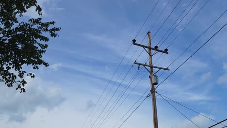 白天前面有電柱,背景是秋天藍天,低角度拍攝