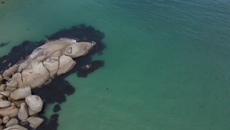 Drone-aerial-over-beautiful-light-blue-beach-and-white-rocks-on-a-sunny-day-in-Wilsons-Promontory