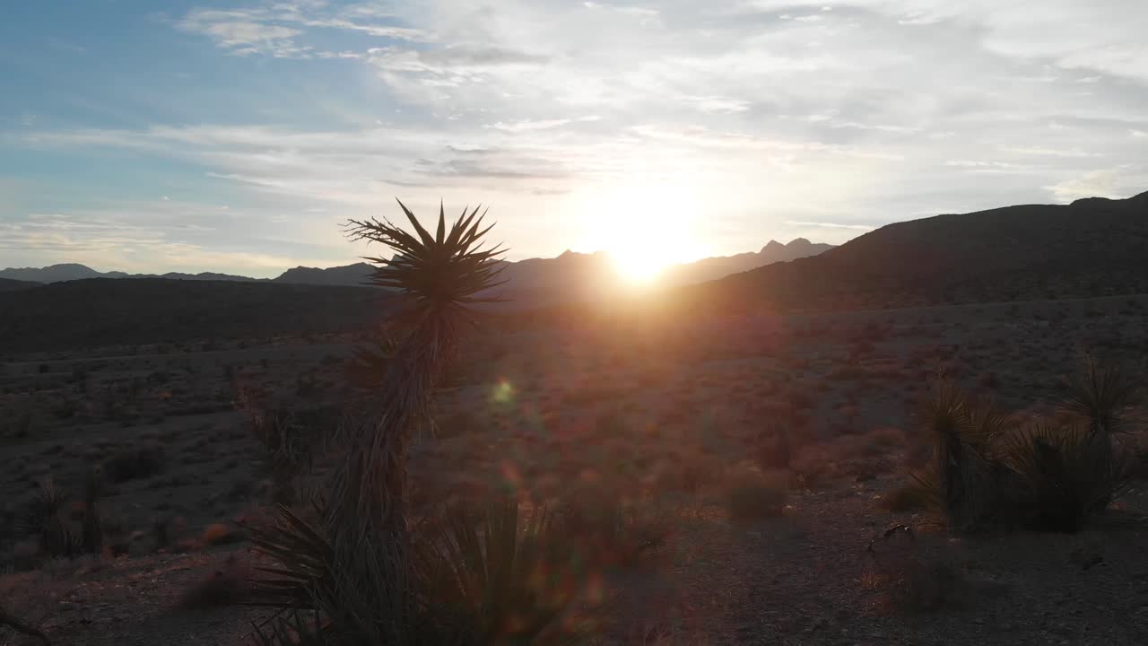 Desfrutando o pôr do sol no deserto.