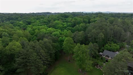 single family house at lake in suburb of american town. green forest trees blooming in spring. bright sky at sunrise. aerial rising wide shot. quiet atmosphere.