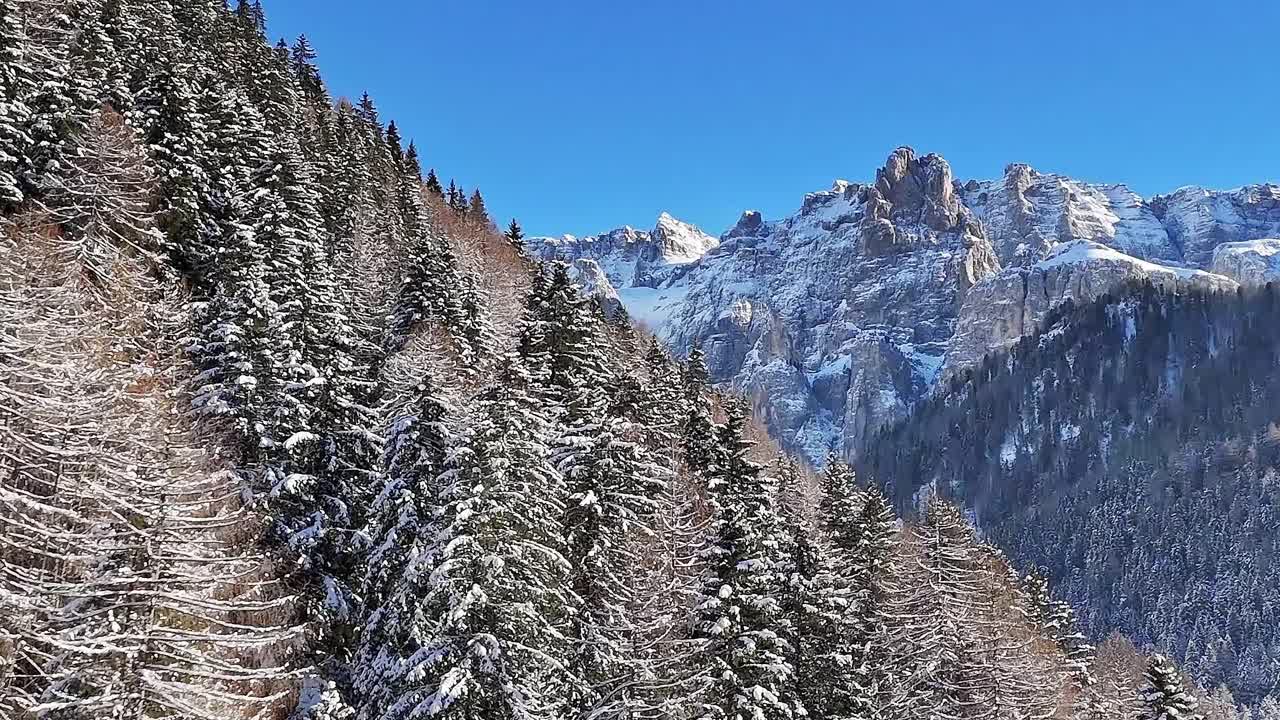 Montagne e alberi innevati sulle Alpi italiane