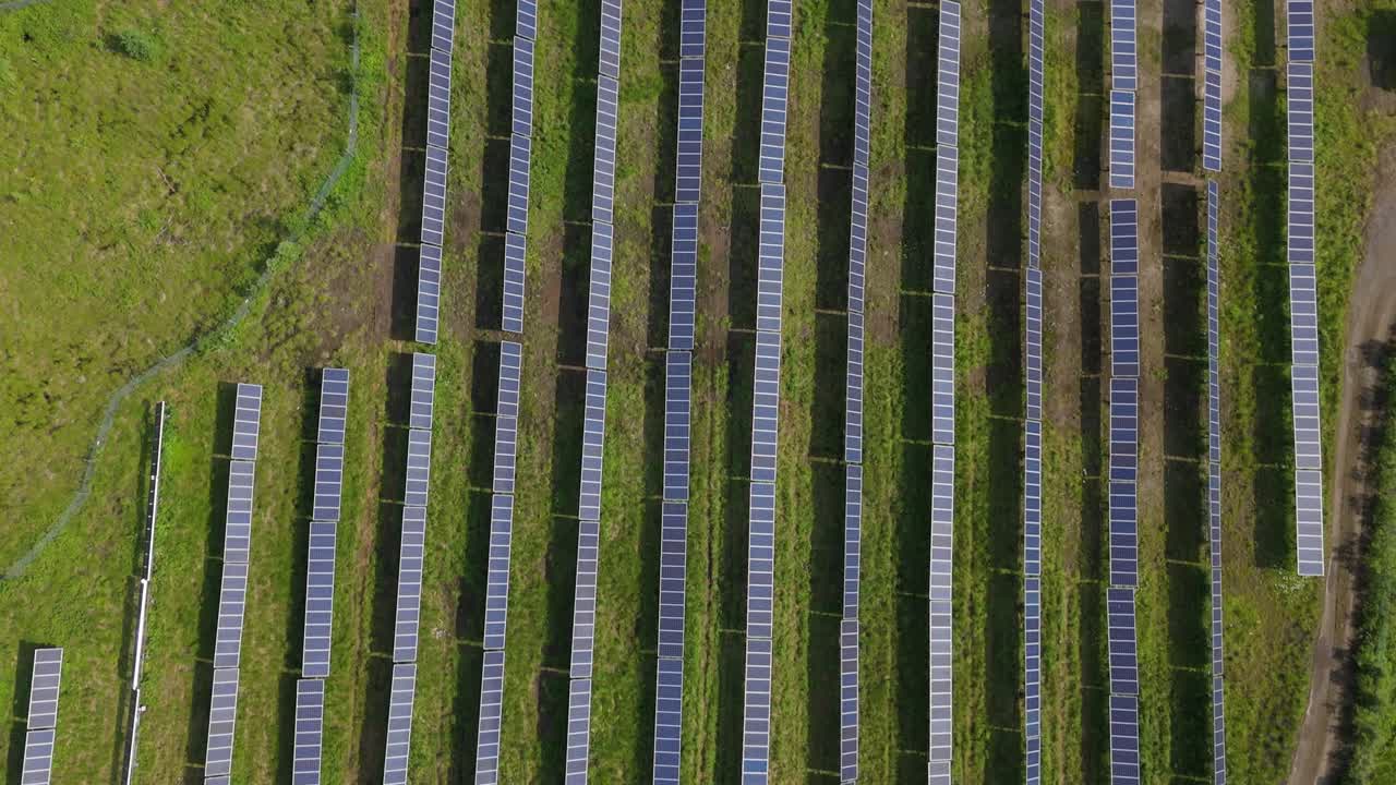 Solar Farm Generating Sustainable Energy With Industrial Cell Panels In Ontario. Aerial Flyover.