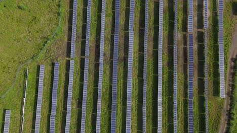 solar farm generating sustainable energy with industrial cell panels in ontario. aerial flyover.